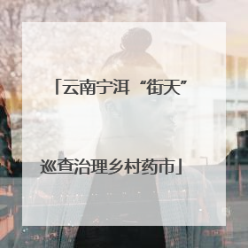 云南宁洱“街天”巡查治理乡村药市