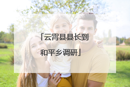 云霄县县长到和平乡调研
