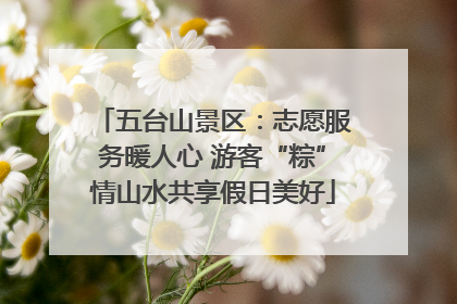 五台山景区：志愿服务暖人心 游客“粽”情山水共享假日美好