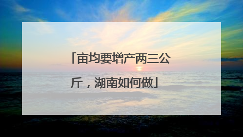 亩均要增产两三公斤，湖南如何做