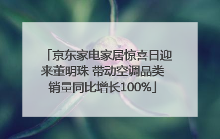 京东家电家居惊喜日迎来董明珠 带动空调品类销量同比增长100%