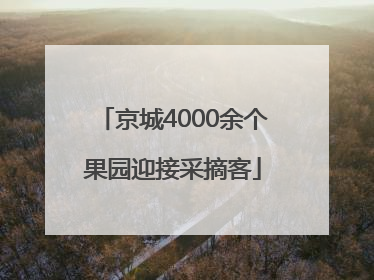 京城4000余个果园迎接采摘客