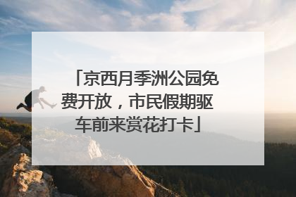 京西月季洲公园免费开放，市民假期驱车前来赏花打卡