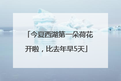 今夏西湖第一朵荷花开啦，比去年早5天
