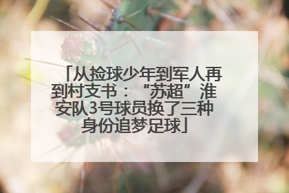 从捡球少年到军人再到村支书：“苏超”淮安队3号球员换了三种身份追梦足球