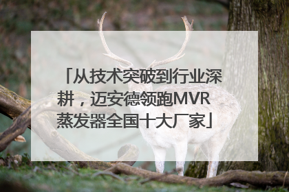 从技术突破到行业深耕，迈安德领跑MVR蒸发器全国十大厂家