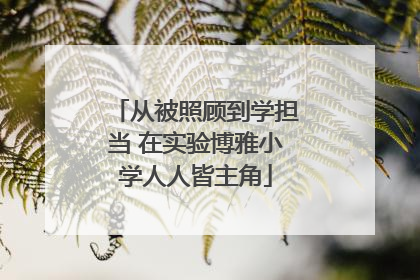 从被照顾到学担当 在实验博雅小学人人皆主角