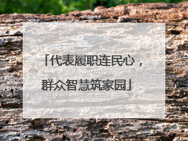 代表履职连民心，群众智慧筑家园