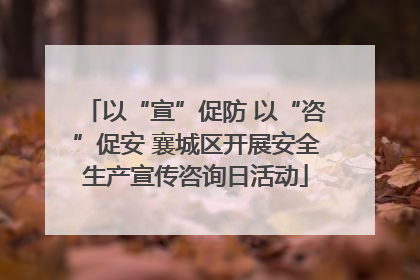 以“宣”促防 以“咨”促安 襄城区开展安全生产宣传咨询日活动