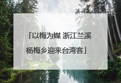 以梅为媒 浙江兰溪杨梅乡迎来台湾客
