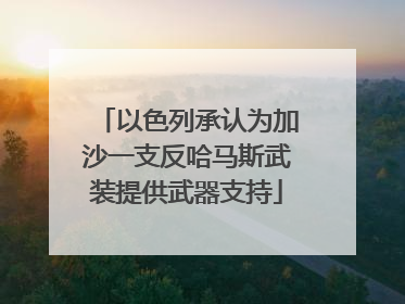 以色列承认为加沙一支反哈马斯武装提供武器支持