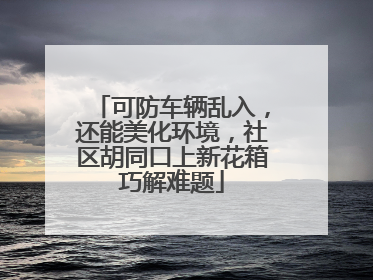 可防车辆乱入，还能美化环境，社区胡同口上新花箱巧解难题