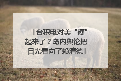 台积电对美“硬”起来了？岛内舆论把目光看向了赖清德