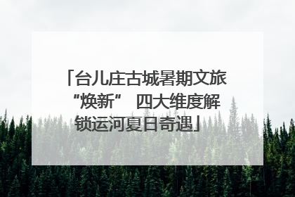 台儿庄古城暑期文旅“焕新” 四大维度解锁运河夏日奇遇