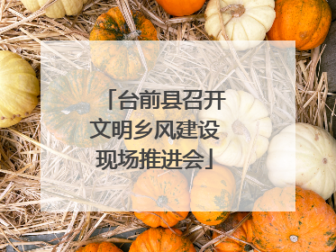 台前县召开文明乡风建设现场推进会