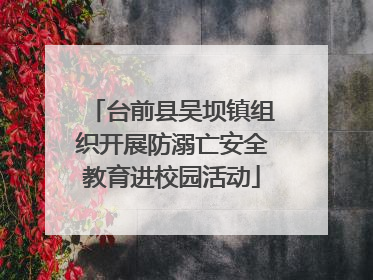 台前县吴坝镇组织开展防溺亡安全教育进校园活动