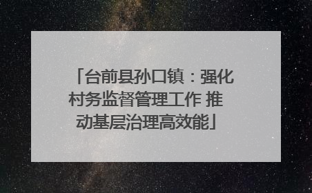 台前县孙口镇：强化村务监督管理工作 推动基层治理高效能