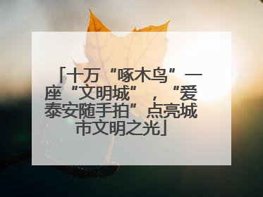 十万“啄木鸟”一座“文明城”，“爱泰安随手拍”点亮城市文明之光