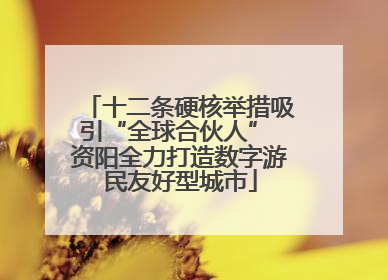 十二条硬核举措吸引“全球合伙人” 资阳全力打造数字游民友好型城市