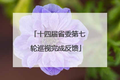 十四届省委第七轮巡视完成反馈