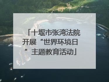 十堰市张湾法院开展“世界环境日”主题教育活动