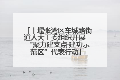 十堰张湾区车城路街道人大工委组织开展 “聚力建支点·建功示范区”代表行动