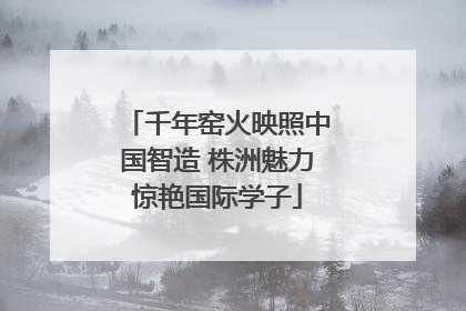 千年窑火映照中国智造 株洲魅力惊艳国际学子