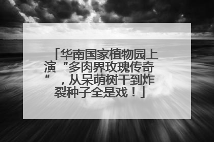 华南国家植物园上演“多肉界玫瑰传奇”，从呆萌树干到炸裂种子全是戏！