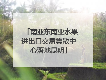 南亚东南亚水果进出口交易集散中心落地昆明
