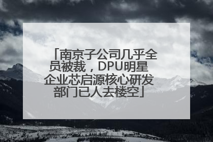 南京子公司几乎全员被裁，DPU明星企业芯启源核心研发部门已人去楼空