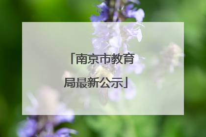 南京市教育局最新公示