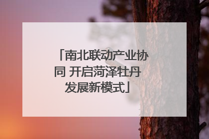 南北联动产业协同 开启菏泽牡丹发展新模式