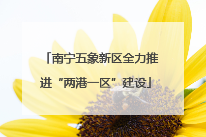 南宁五象新区全力推进“两港一区”建设