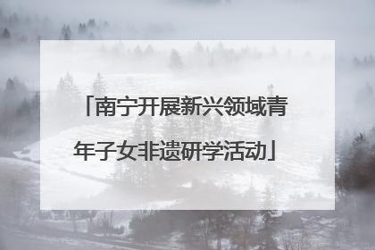 南宁开展新兴领域青年子女非遗研学活动