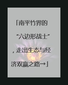 南平竹界的 “六边形战士”，走出生态与经济双赢之路→