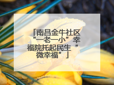 南昌金牛社区“一老一小”幸福院托起民生“微幸福”