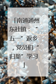 南通通州东社镇：“五一”返乡，党员们“归巢”学习