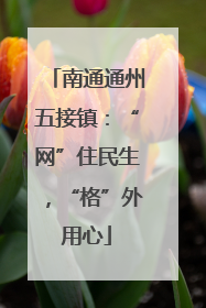 南通通州五接镇：“网”住民生，“格”外用心