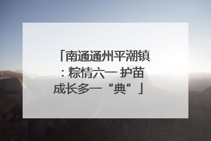 南通通州平潮镇：粽情六一 护苗成长多一“典”
