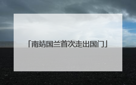 南靖国兰首次走出国门