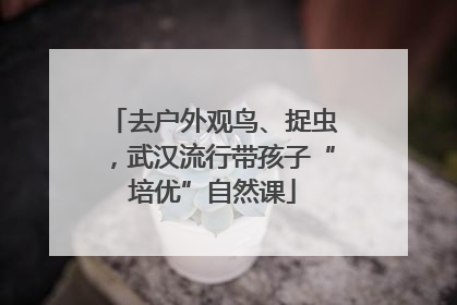 去户外观鸟、捉虫，武汉流行带孩子“培优”自然课