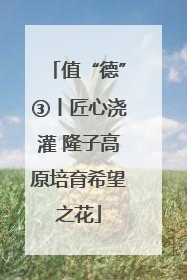 值“德”③丨匠心浇灌 隆子高原培育希望之花