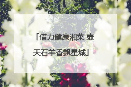 借力健康湘菜 壶天石羊香飘星城
