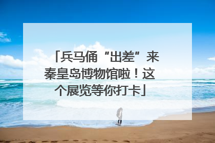兵马俑“出差”来秦皇岛博物馆啦！这个展览等你打卡