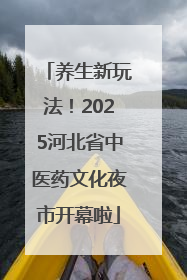 养生新玩法！2025河北省中医药文化夜市开幕啦