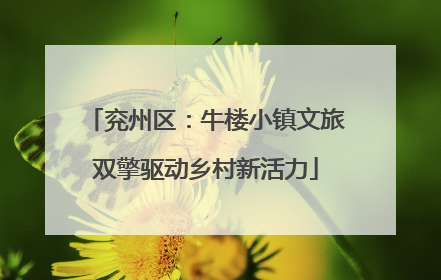兖州区：牛楼小镇文旅双擎驱动乡村新活力