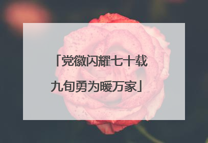 党徽闪耀七十载 九旬勇为暖万家