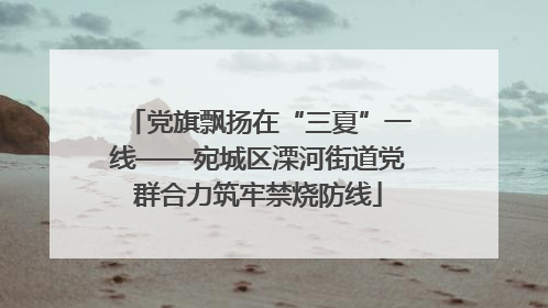 党旗飘扬在“三夏”一线——宛城区溧河街道党群合力筑牢禁烧防线