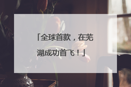 全球首款，在芜湖成功首飞！