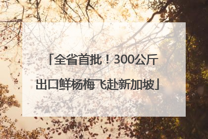 全省首批！300公斤出口鲜杨梅飞赴新加坡